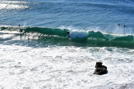 surf in Brasile