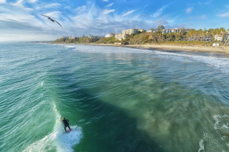 surf in Australia